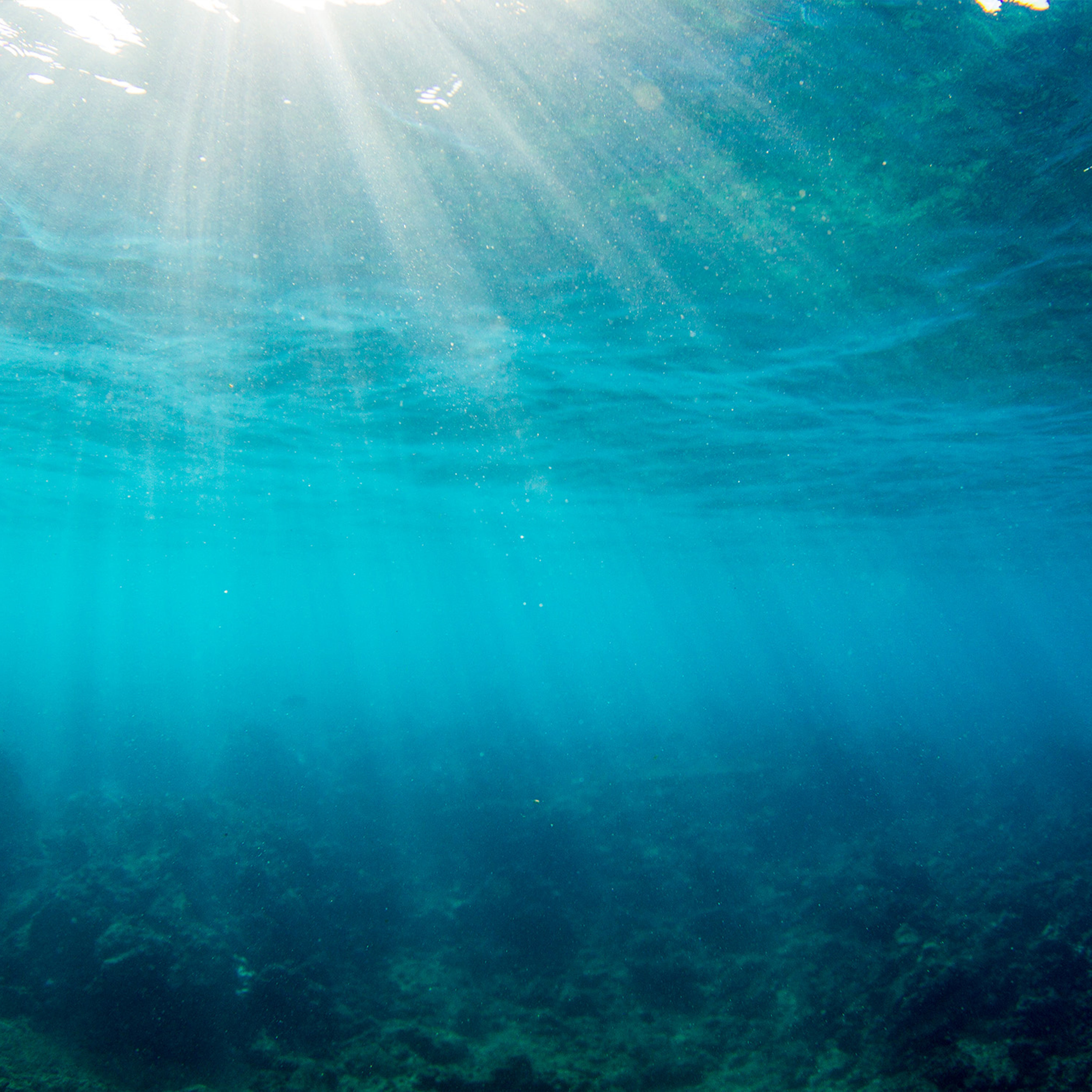 Sunlight beams through crystal clear ocean water, promoting reef safety and eco-conscious sun care – Hawaii Act Collection - Sun Bum.