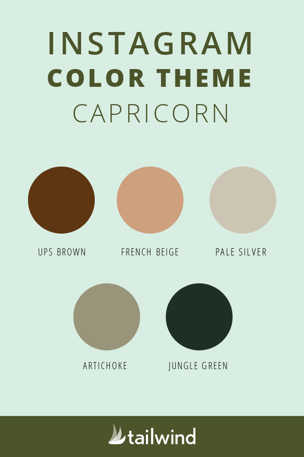 Capricorn color theme for Instagram with examples of each color mentioned.